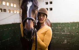 Horse Yellow Shutterstock 695786872